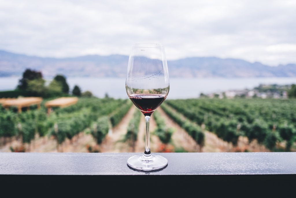 Un verre de vin rouge devant un paysage de vignes